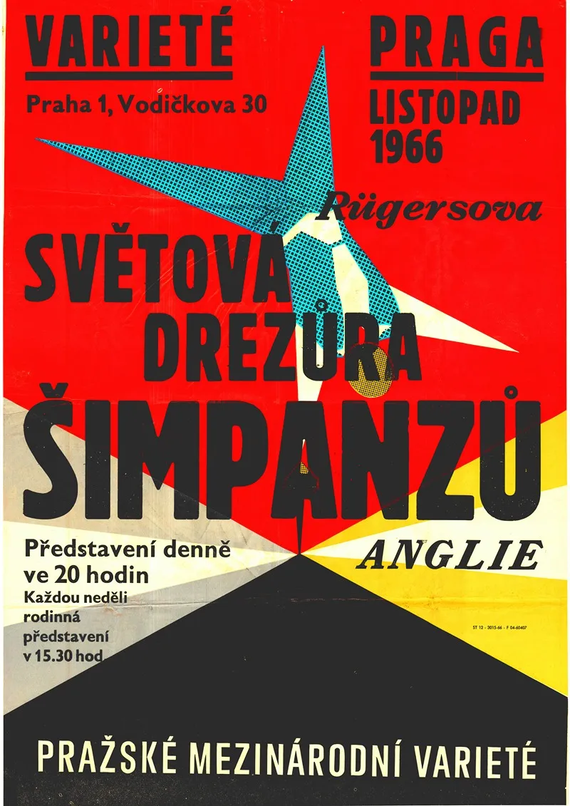 Svetova Drezura Simpanzu Anglie