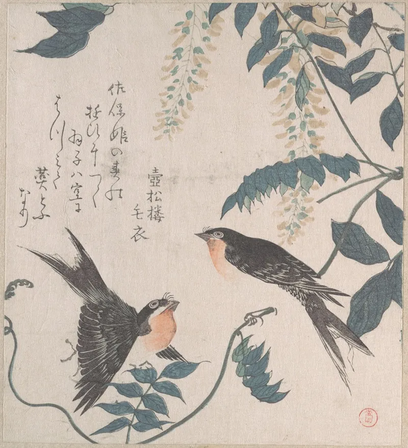 Swallows And Wisteria 2