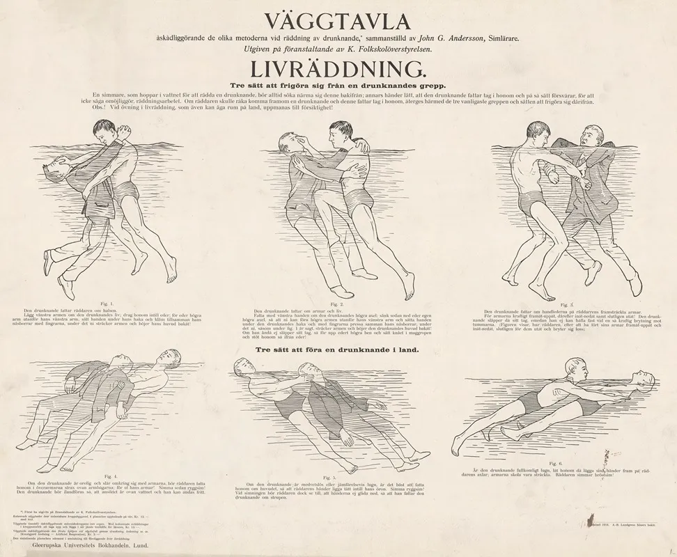 Swedish Lifesaving Board Wall Art by John G. Andersson - High-Resolution Digital Print