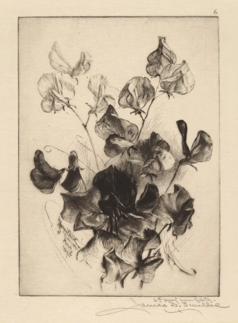 Sweet Peas 3