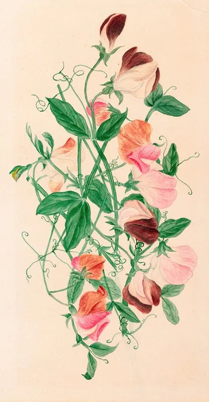 Sweet Peas Wall Art by Henrietta Benson Homer - High-Resolution Digital Print