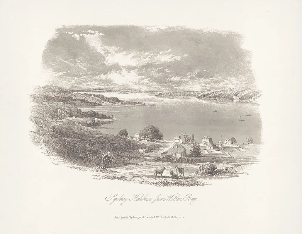 Sydney Harbour From Watsons Bay Wall Art by John Sands - High-Resolution Digital Print