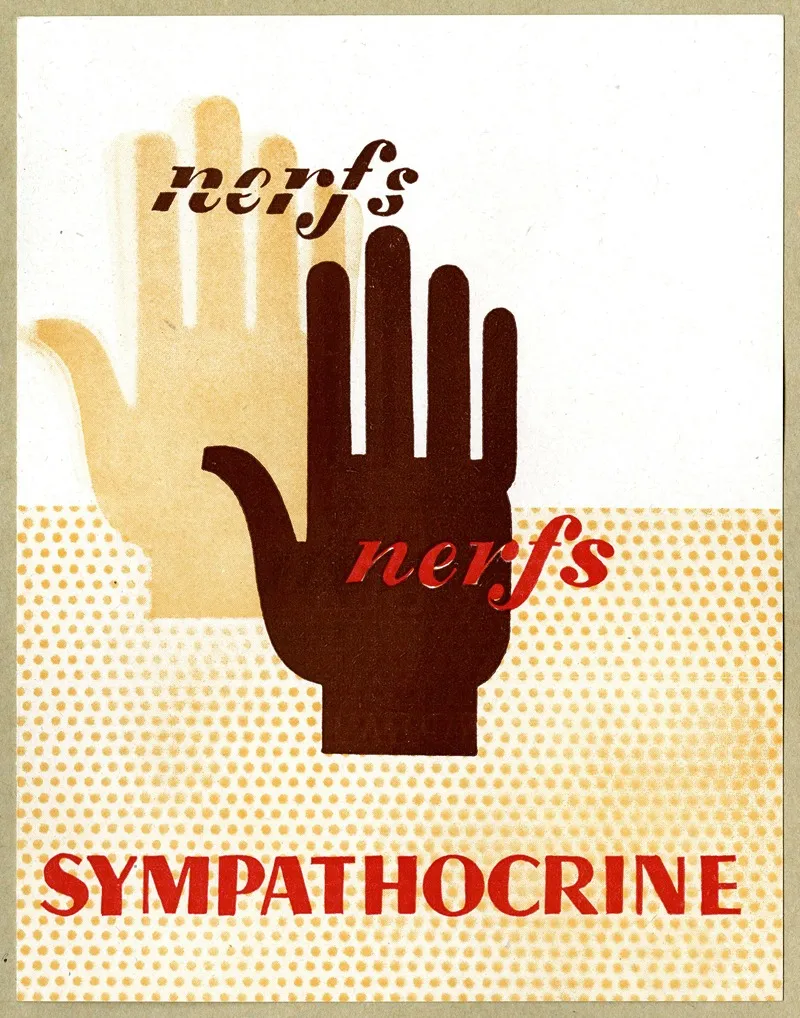 Sympathocrine Wall Art by Laboratoires Biosedra - High-Resolution Digital Print