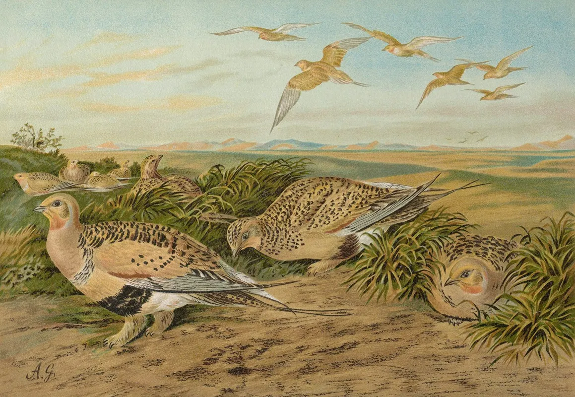 Syrrhaptes Paradoxus Wall Art by Johann Friedrich Naumann - High-Resolution Digital Print