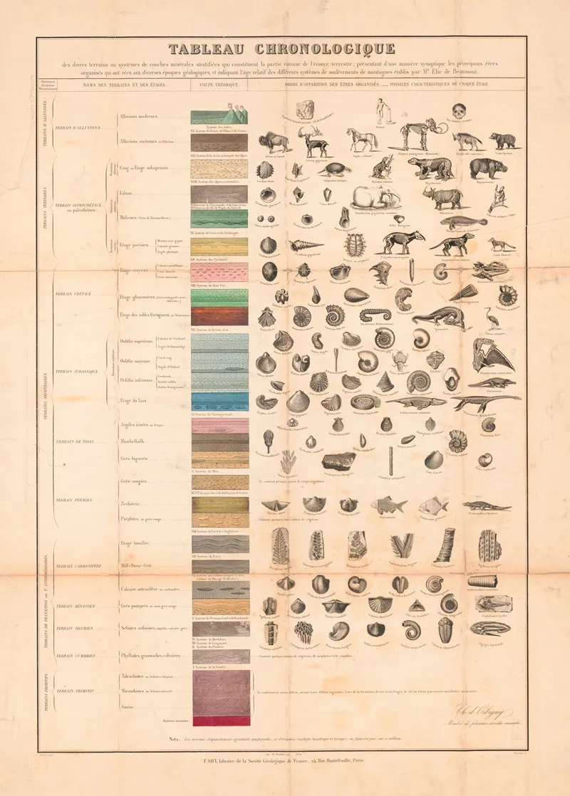 Tableau Chronologique Wall Art by Oudart - High-Resolution Digital Print
