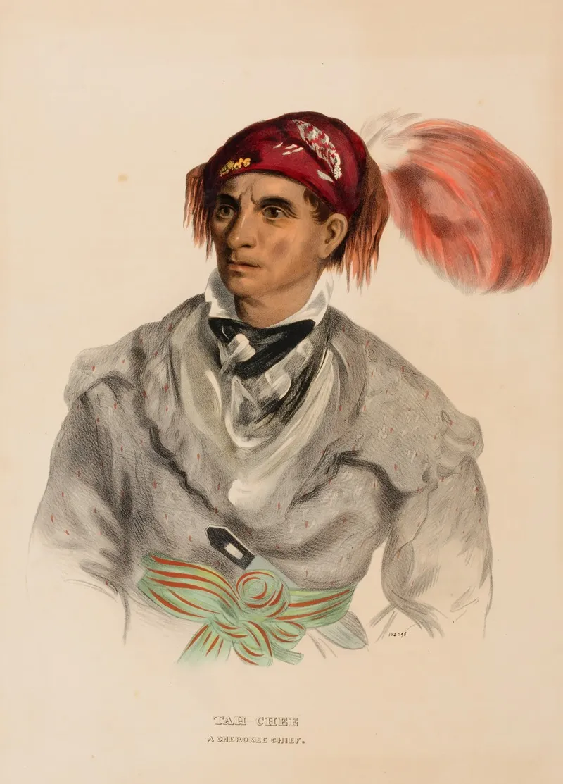 Tah Chee Dutch A Cherokee Chief