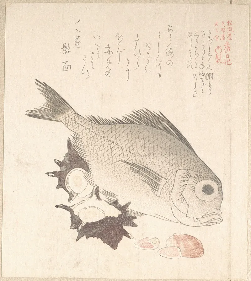 Tai Fish And Top Shells