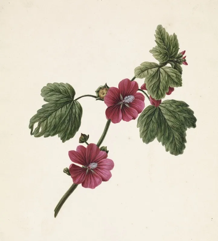 Takje Met Paarse Bloemen Wall Art by M. de Gijselaar - High-Resolution Digital Print