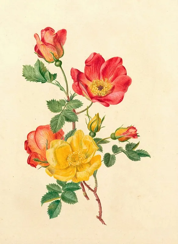 Takje Wilde Rozen Wall Art by Antoinette Luden - High-Resolution Digital Print