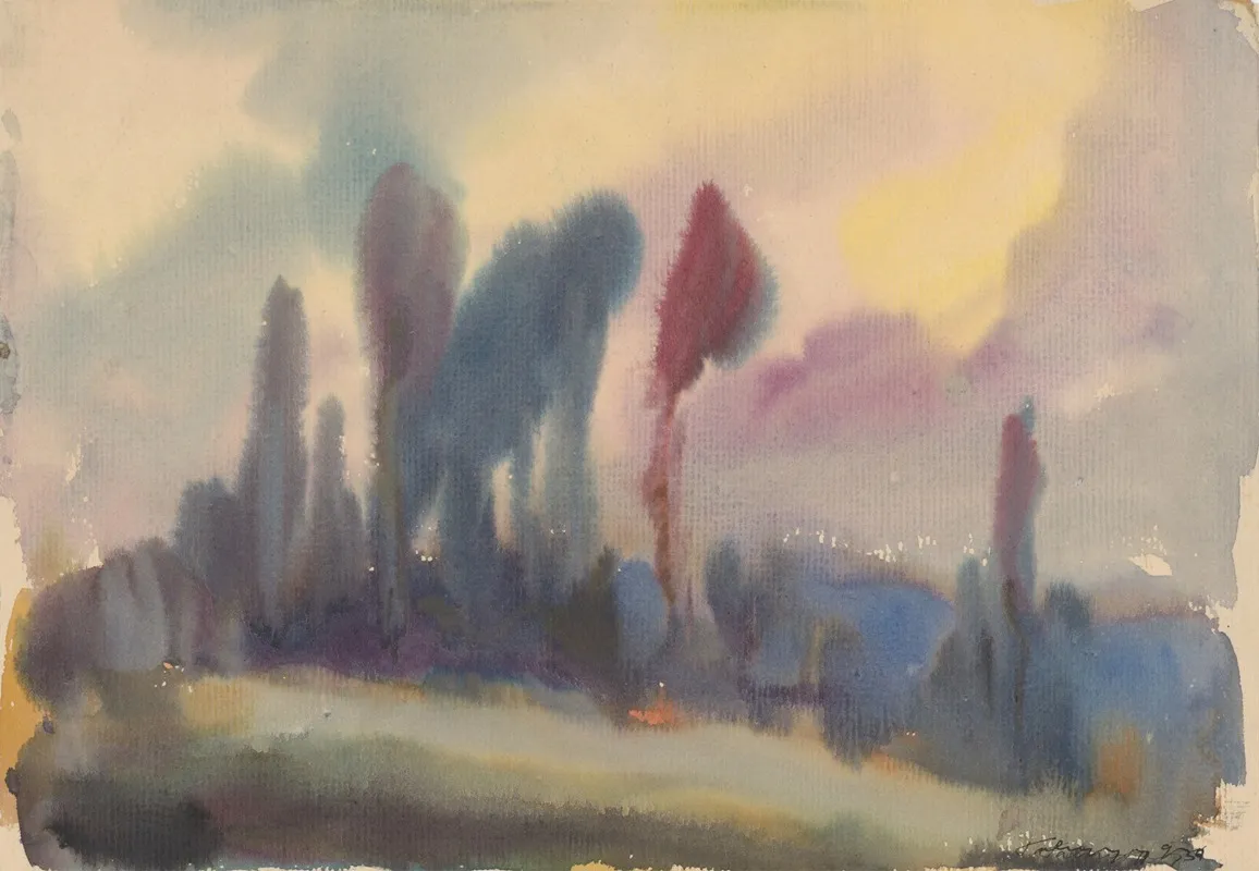 Tall Trees On The Edge Of The Forest