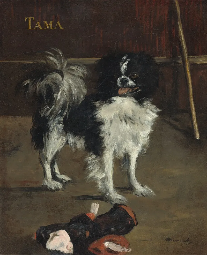 Tamathe Japanese Dog