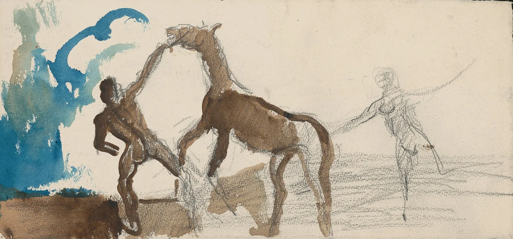 Taming A Horse