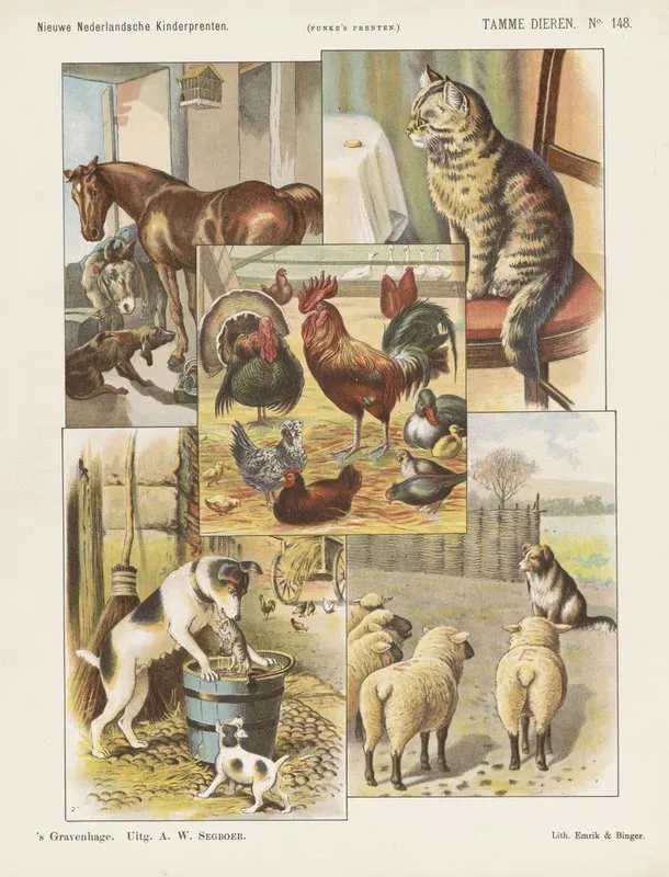 Tamme Dieren