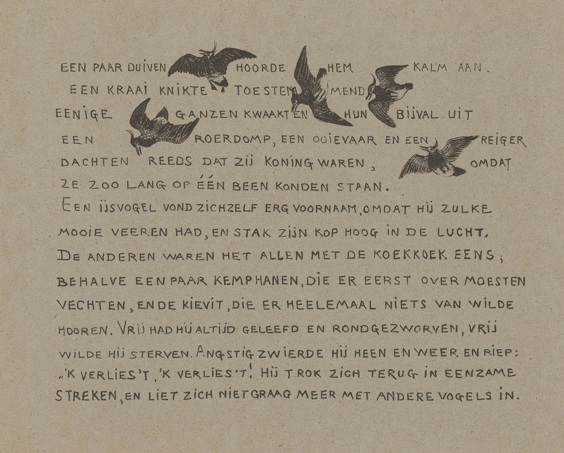 Tekstblad Met Kieviten