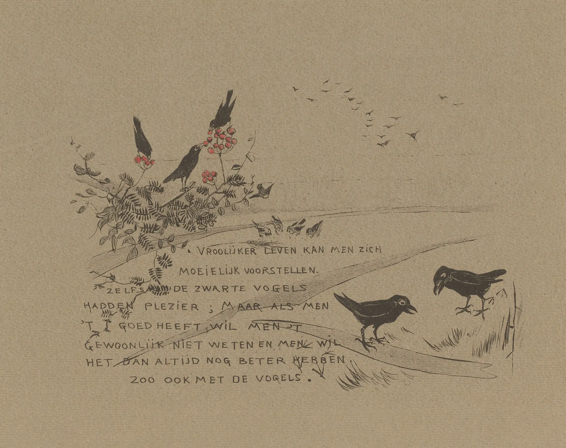 Tekstblad Met Kraaien Die Rode Bessen Eten