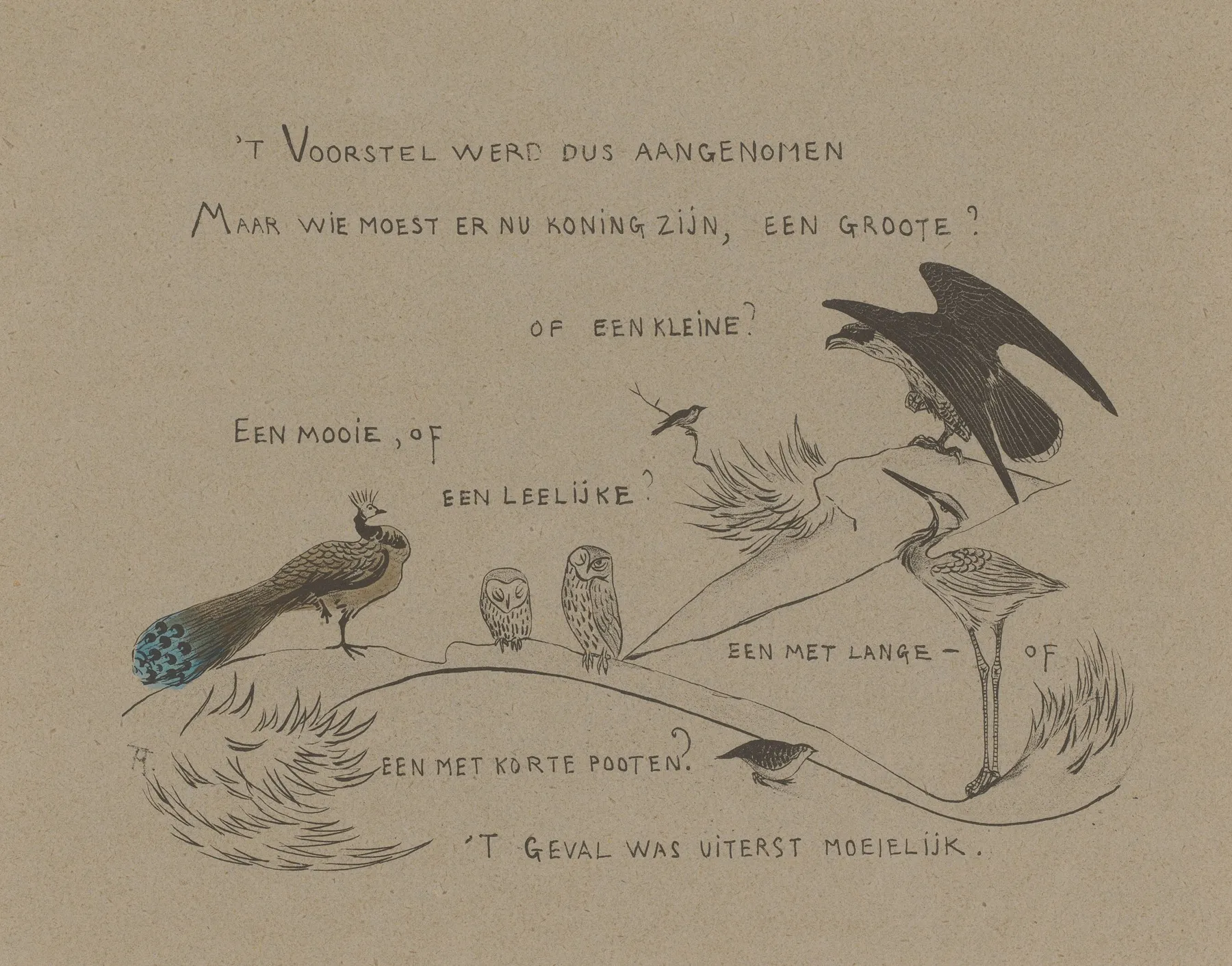 Tekstblad Met Onder Andere Pauw Uilen Reiger En Roofvogel