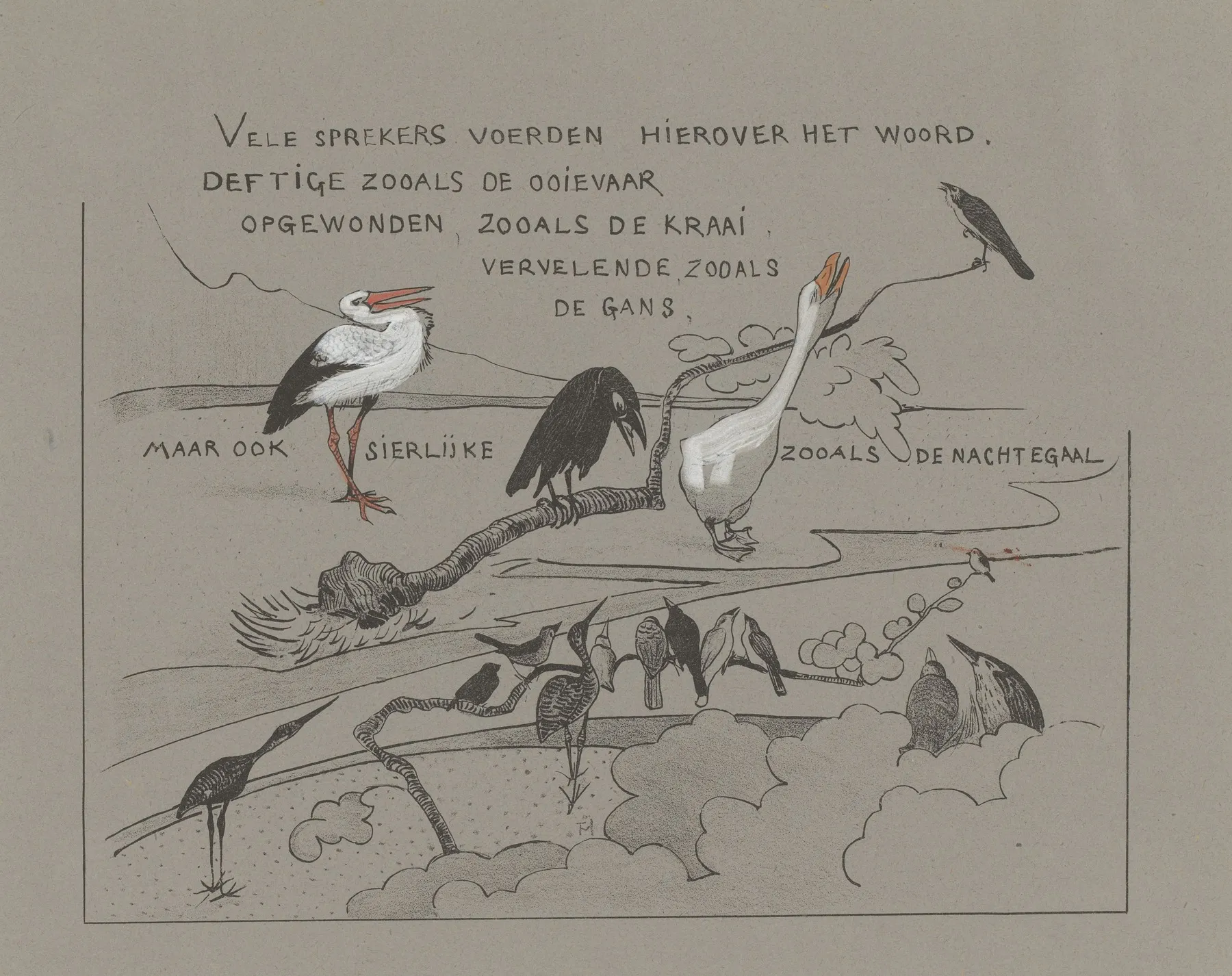 Tekstblad Met Vogels Onder Andere Roerdomp Gans Ooievaar En Kraai