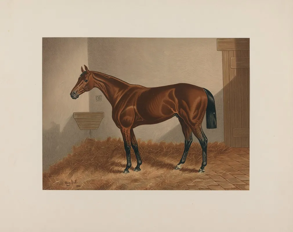 Ten Broeck Bay Horse