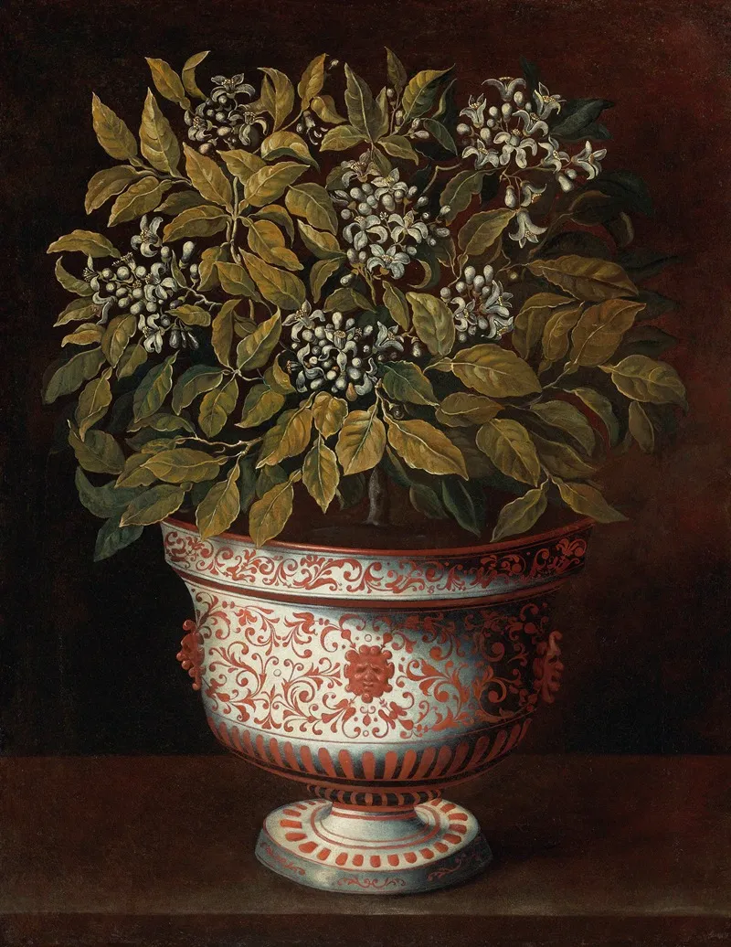 Terracotta Vase With An Orange Bush In Flower Wall Art by Tomás Hiepes - High-Resolution Digital Print