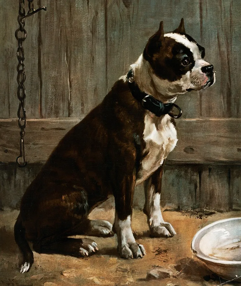 Terrier Seated Wall Art by Frances Townsend - High-Resolution Digital Print