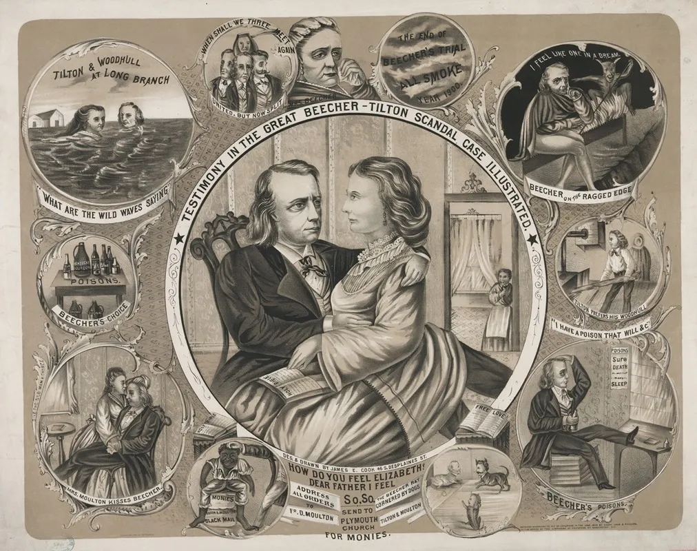 Testimony In The Great Beecher Tilton Scandal Case Wall Art by James E. Cook - High-Resolution Digital Print