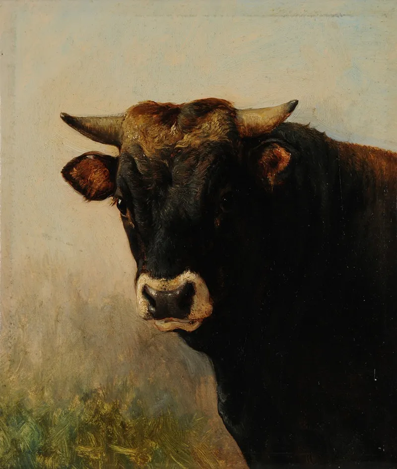 Tete De Boeuf Noir