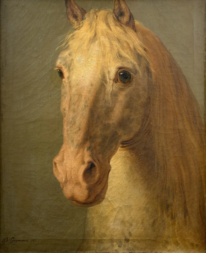 Tete De Cheval Blanc Wall Art by Bénigne Gagneraux - High-Resolution Digital Print