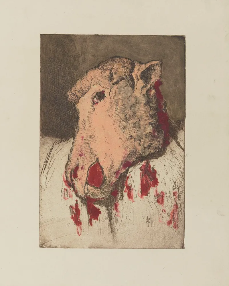 Tete De Mouton