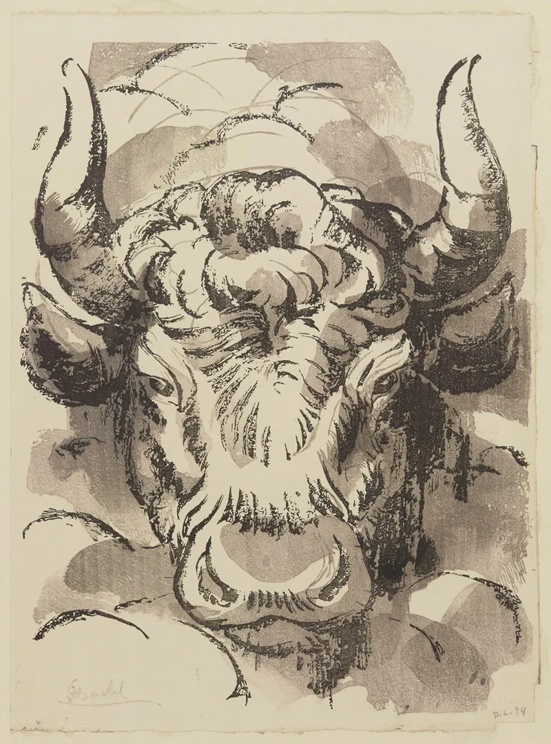 Tete De Taureau 2