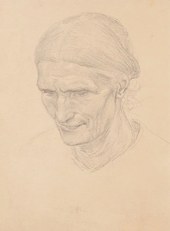 Tete De Vieille