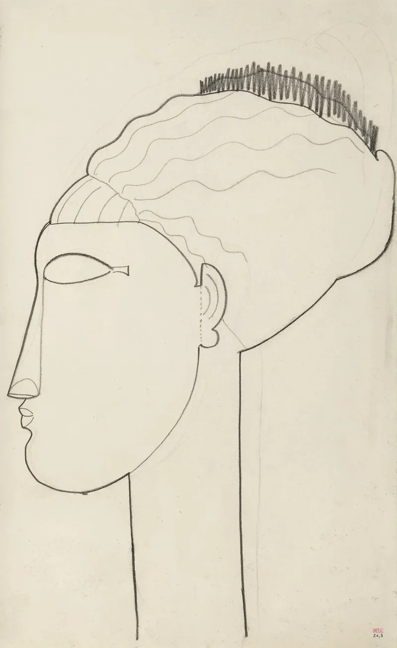 Tete Profil Gauche