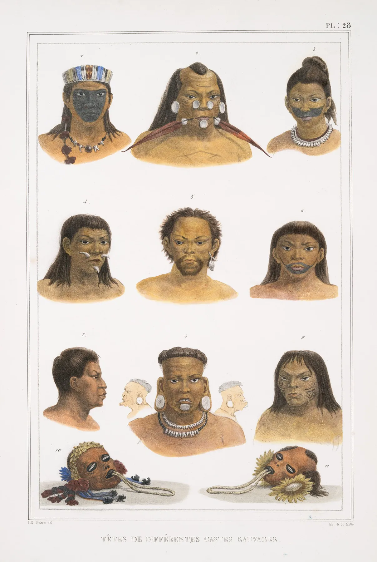 Tetes De Differentes Castes Sauvages