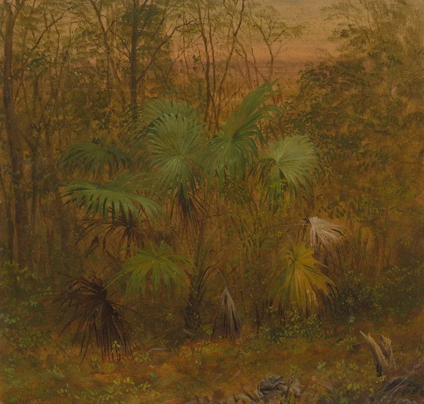 Thatch Palm Jamaica