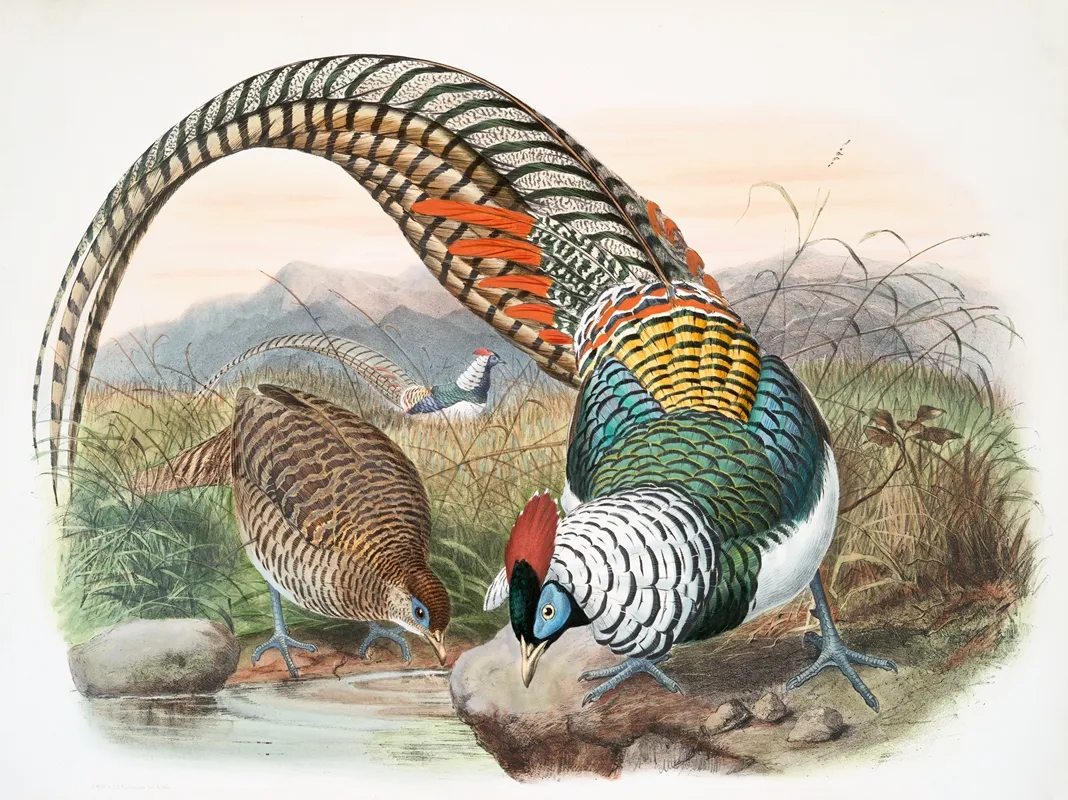 Thaumalea Amherstiae 2 Wall Art by Joseph Smit - High-Resolution Digital Print