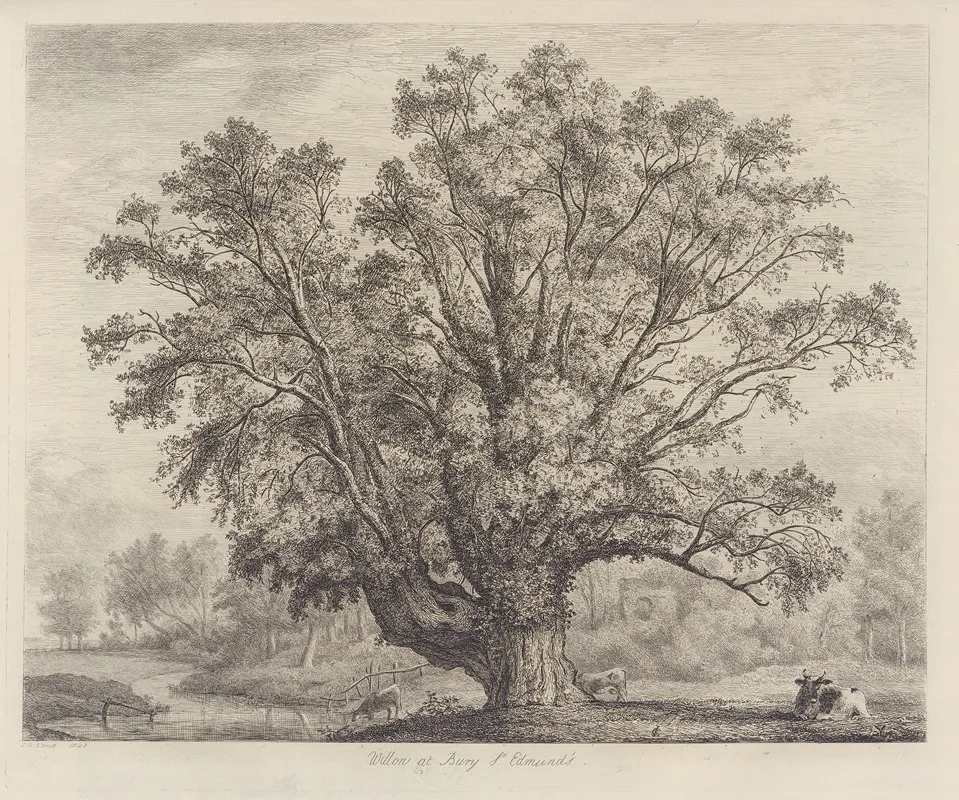 The Abbots Willow Wall Art by Jacob George Strutt - High-Resolution Digital Print