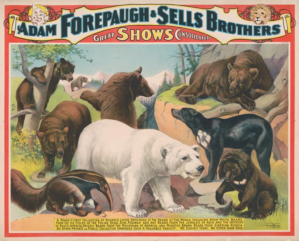 The Adam Forepaugh And Sells Brothers Americas Greatest Shows Consolidated A Magnificent Collection Of The Bears Of The World