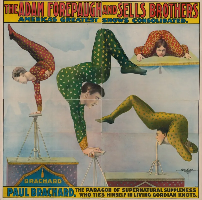 The Adam Forepaugh And Sells Brothers Paul Brachard Ties Himself In Living Gordon Knots Wall Art by Courier Litho. Co. - High-Resolution Digital Print