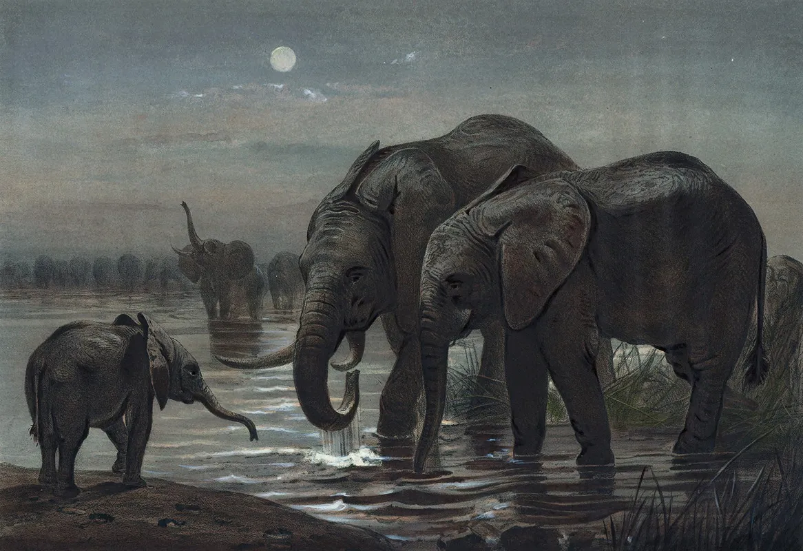 The African Elephant Wall Art by Joseph Wolf - High-Resolution Digital Print