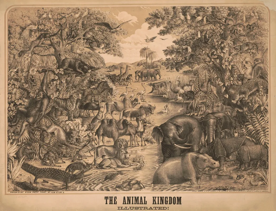 The Animal Kingdom Illustrated