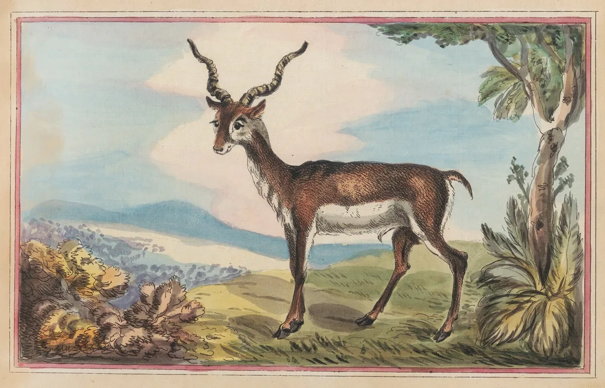 The Antelope Wall Art by Thomas Rowlandson - High-Resolution Digital Print