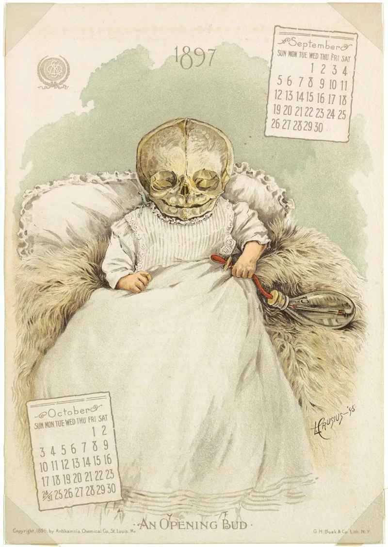 The Antikamnia Calendar An Opening Bud Wall Art by L Crusius - High-Resolution Digital Print