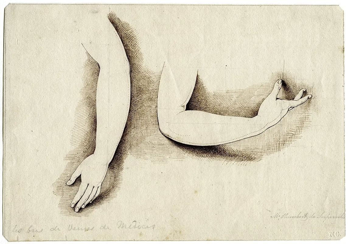 The Arms Of The Venus De Medici