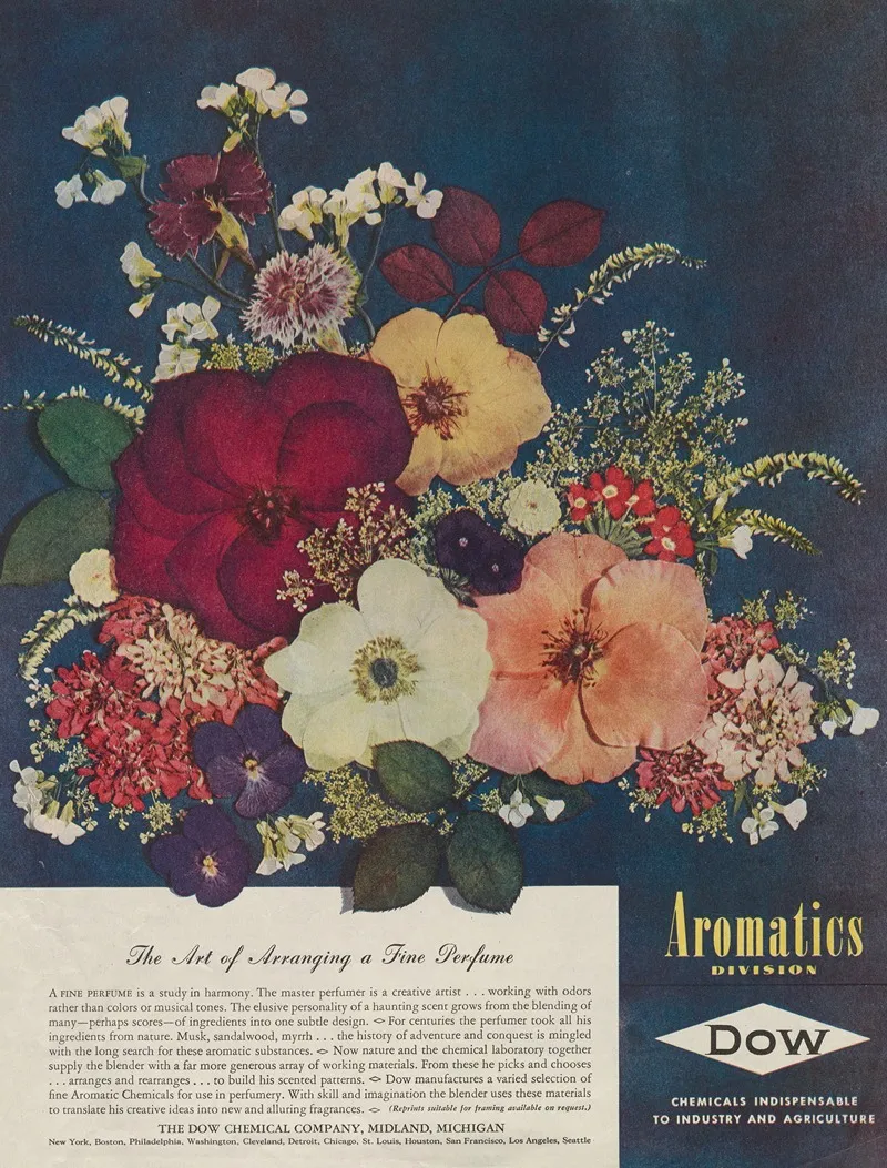 The Art Of Arranging A Fine Perfume