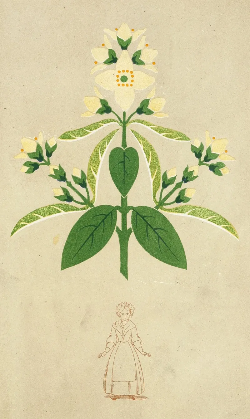 The Art Of Decorative Design Pl26