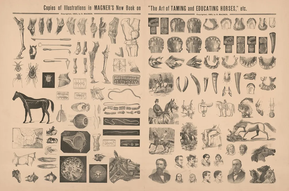 The Art Of Taming And Educating Horses Wall Art by D. Magner - High-Resolution Digital Print