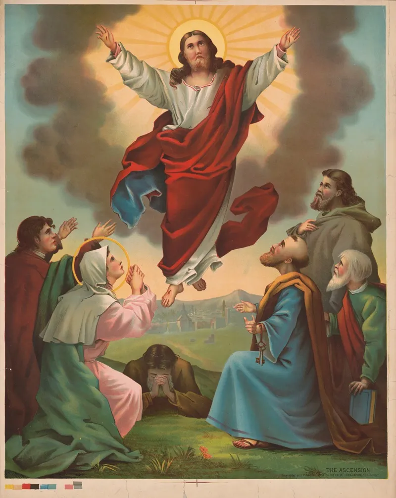 The Ascension 12