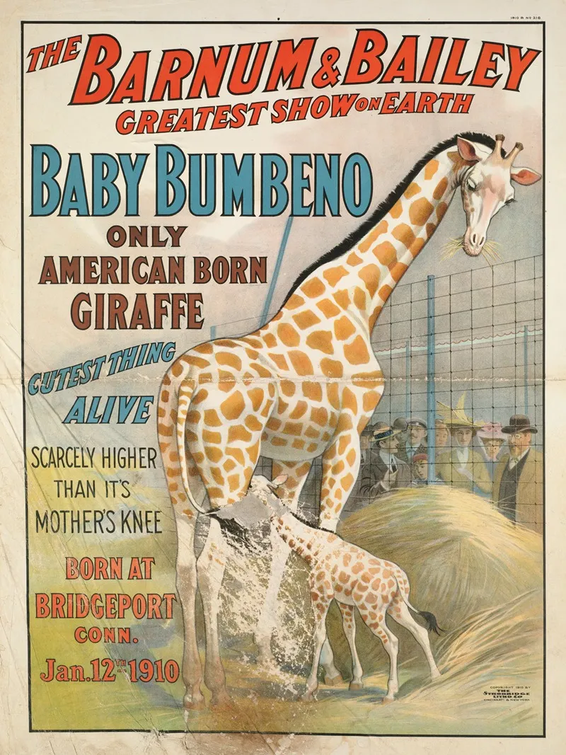 The Barnum Bailey Greatest Show On Earth Baby Bumbeno Only American Born Giraffe Cutest Thing Alive