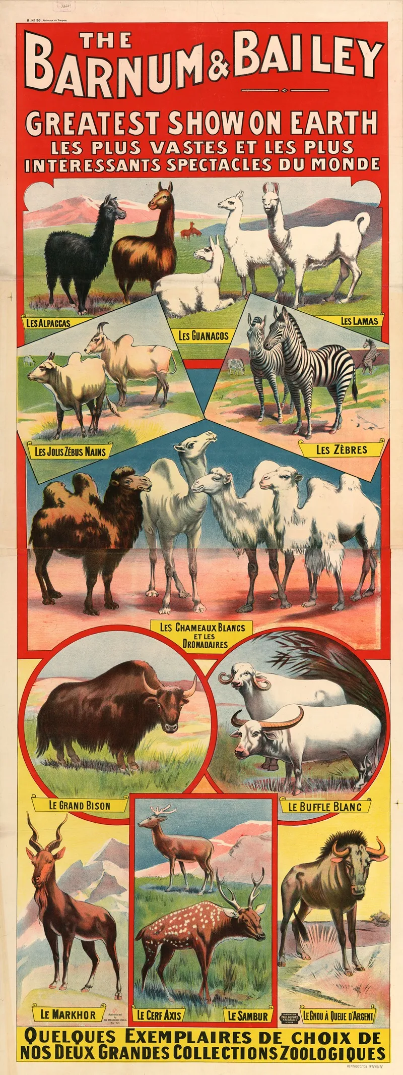 The Barnum Bailey Greatest Show On Earth Les Plus Vastes Et Les Plus Interessants Spectacles Du Monde Wall Art by Imp. Paul Dupont - High-Resolution Digital Print