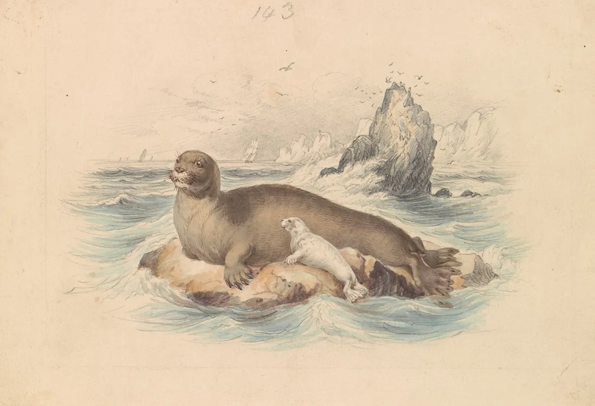 The Bearded Seal Wall Art by James Stewart - High-Resolution Digital Print