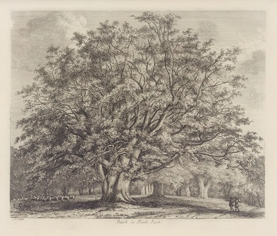 The Beech Tree At Knole Wall Art by Jacob George Strutt - High-Resolution Digital Print